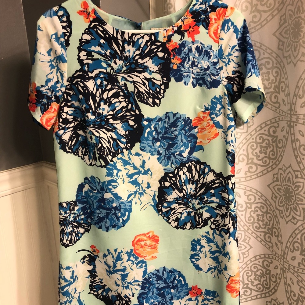 J Crew Dress